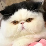 为什么要取昵称
