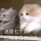 秃头少女【掉发