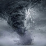 雷公墨
