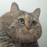 咣姥姥进罐罐园