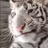 豆友234561496