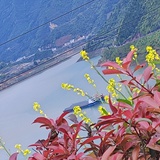 林琅