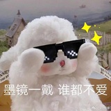 赵锦辛