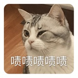 尾巴