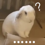 查理苏打饼干