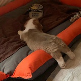 也喜欢浪味仙吗