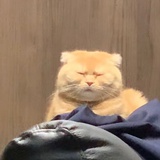 just一个称呼