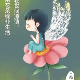 约克夏shine