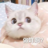 咕噜咕噜