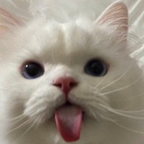 77