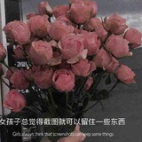 紫荆夜   晴