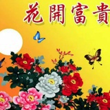 布加拉提