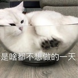 不想有名字