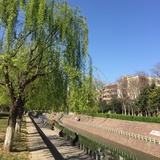 溪水长流