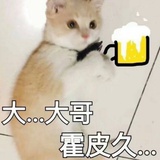 橙子橘子柑子