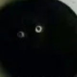 喵