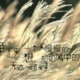 丫丫