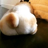 FF