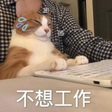 小张从不慌张
