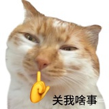 哔咔哔哔哔