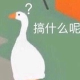 一朵姜丝