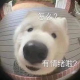 巴黎叭叭