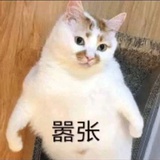 慢着