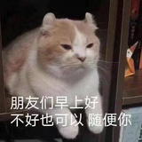 璃裳羽衣