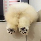 江骗湖子