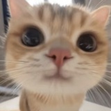空空空菱灵