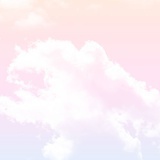 豆子