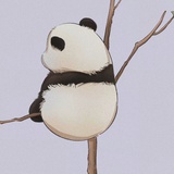 离离原上草