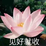 嫩牛五方
