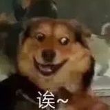 Yuki哟