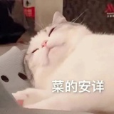 暗哑于秋