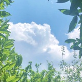 江江