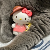 一只猫