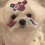 你干嘛