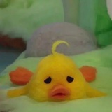 嘎嘎呜啦啦