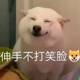 乌圆
