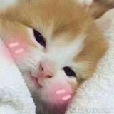 俐晴