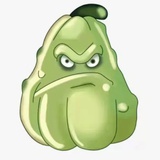🐸🐸