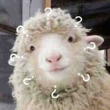 凯拉奈特莉