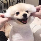糊糊酱