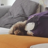 哎呀呀呀呀呀我是仙女