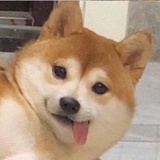 草莓味米粒酸奶