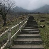 逍遥的小尧