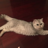 星星不睡觉
