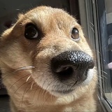 猛火快煮