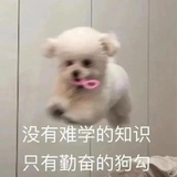舷琢